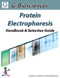 hb-electrophoresis-handbook-hp